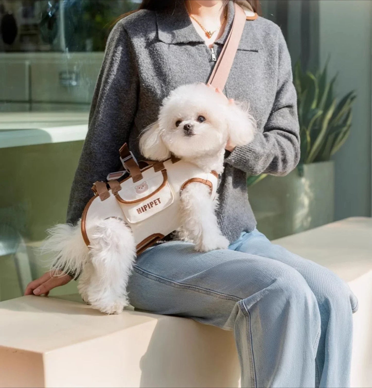 🐾 Portable Breathable Pet Carrier Backpack